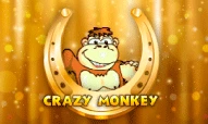 Crazy Monkey